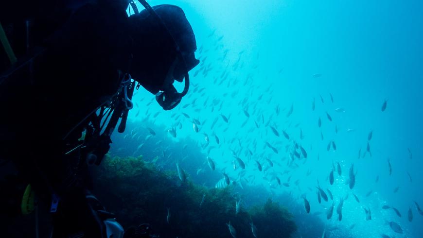 Tragedia alle Maldive